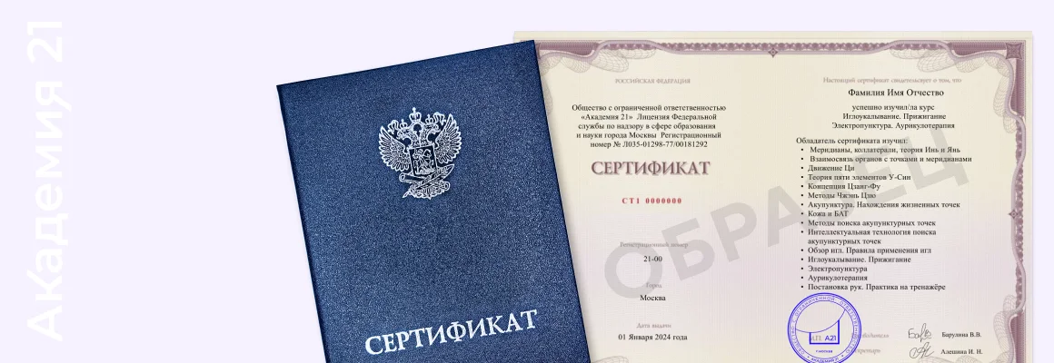 Сертификат Академии 21 — образец